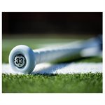 Easton Speed Senior Baseball Bat